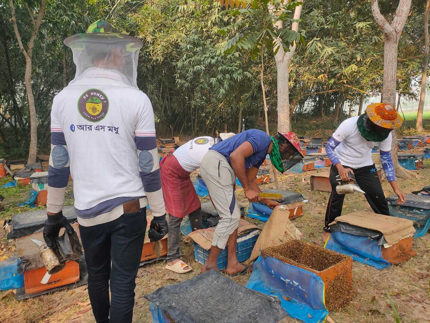 সরিষা,ফুলের,মধু,২,কেজি,/,Mustard,Honey,2,kg,