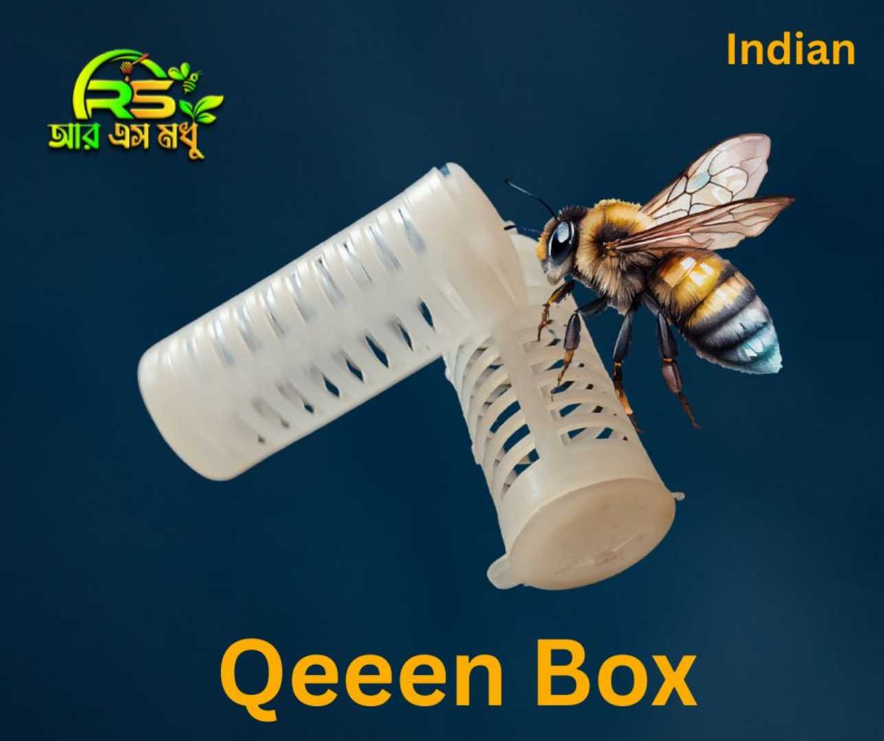 কুইন কেস, রানি রাখার বক্স, রানি মৌমাছি বক্স, queen cage, queen case, beekeeping tools, honey bee equipment, RS Honey, Indian queen cage