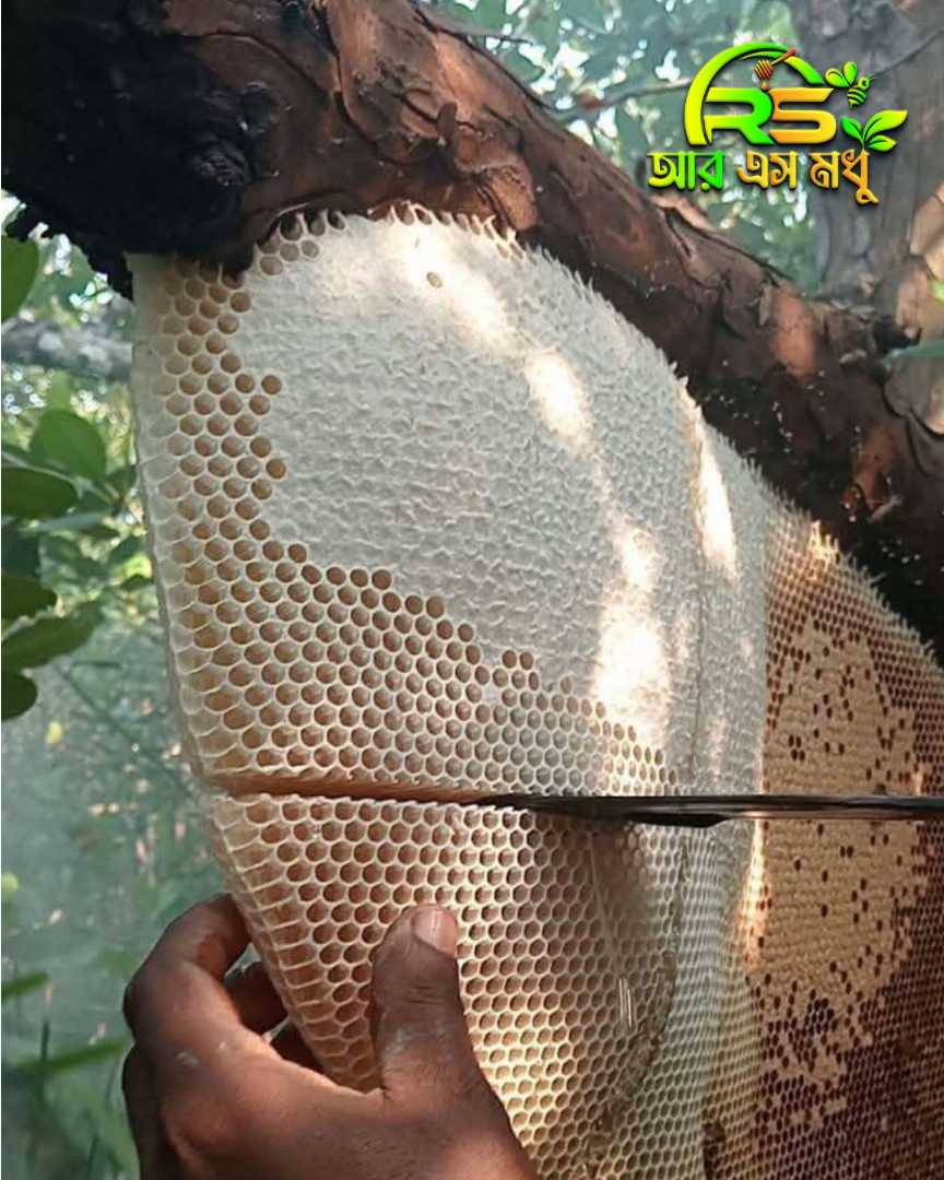 সুন্দরবনের মধু, প্রাকৃতিক মধু, খাঁটি মধু, বনজ মধু, সুন্দরবন হানি, ফরেস্ট হানি, র মধু, অর্গানিক হানি, কাঁচা মধু, moumachir modhu, sundorboner modhu, pure honey, natural honey, raw honey, sundarban hon