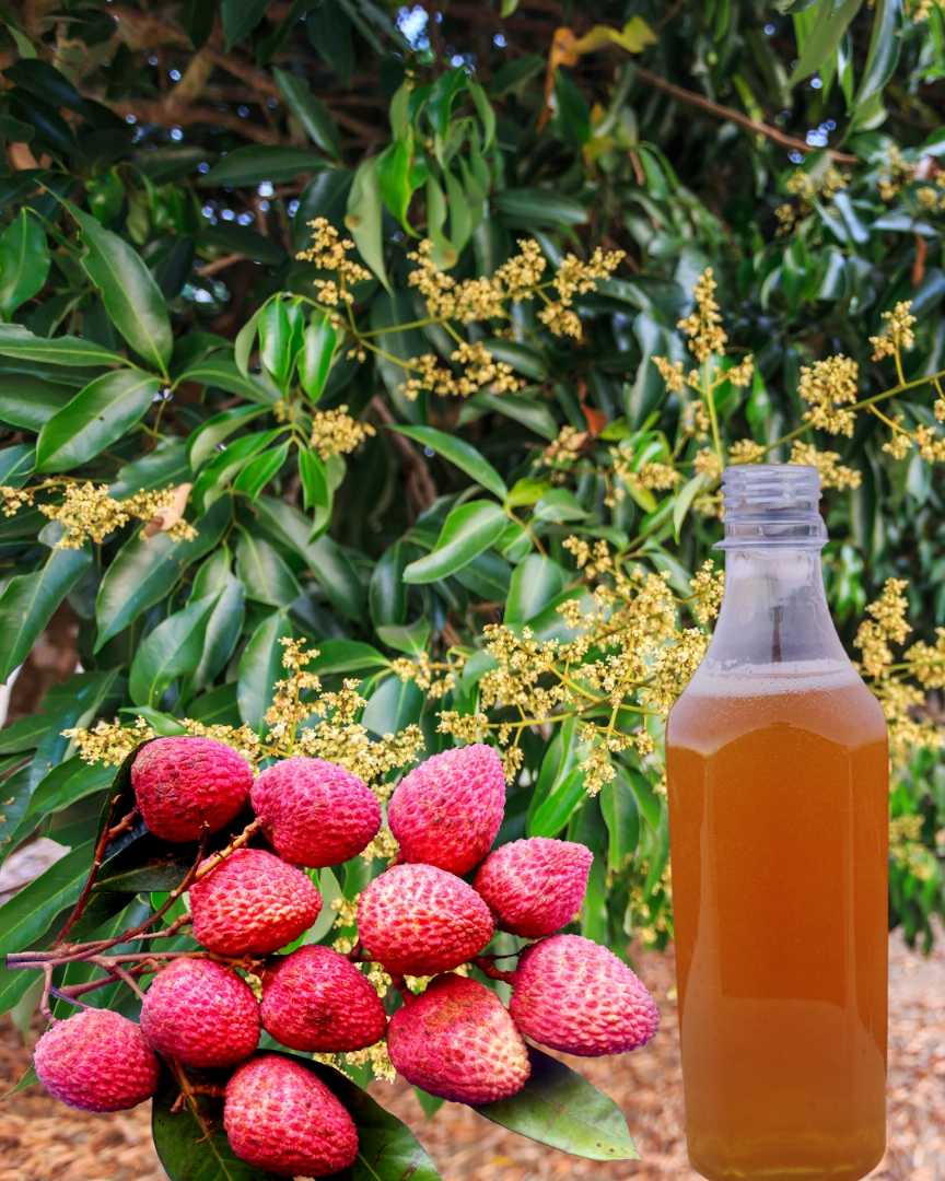 লিচু মধু, লিচু ফুলের মধু, RS Honey, খাঁটি মধু, pure honey, litchi honey, organic honey